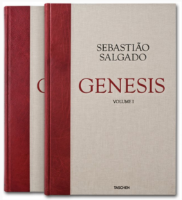 Salgado Genesis su