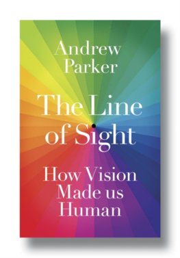 The Line of Sight : How Vision Made us Human