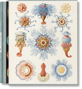 The Art and Science of Ernst Haeckel