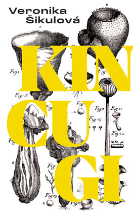Kincugi