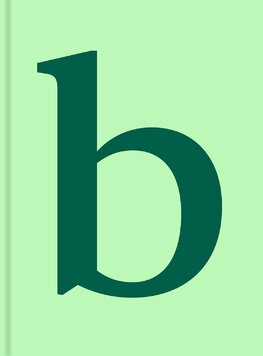 Mini Serif In Use