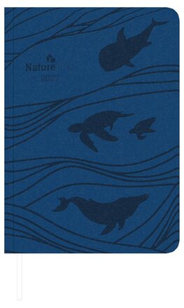 2027 Ocean veľký