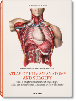 Atlas of Anatomy T25
