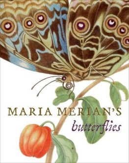 Maria Merians Butterflies