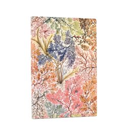 Anemone Mini Lined