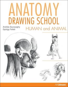 Anatomy Drawing School Human and Animals