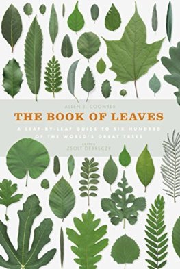 The Book of Leaves A leafbyleaf guide to six hundred of the worlds great trees