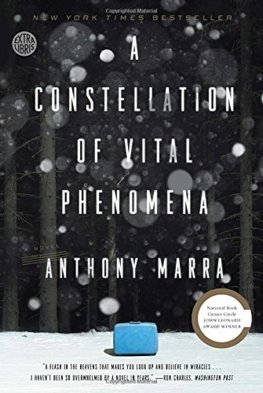 A Constellation of Vital Phenomena