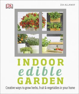 Indoor Edible Garden