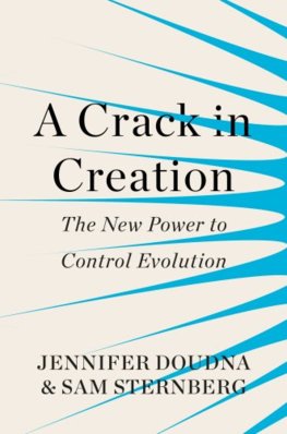 A Crack in Creation