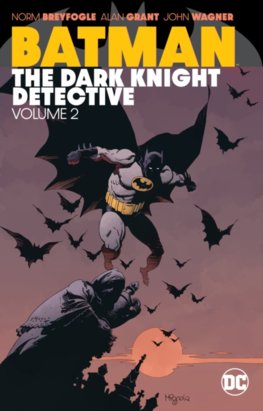 Batman The Dark Knight Detective  2