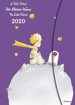 Diar 2020 Little Prince velky