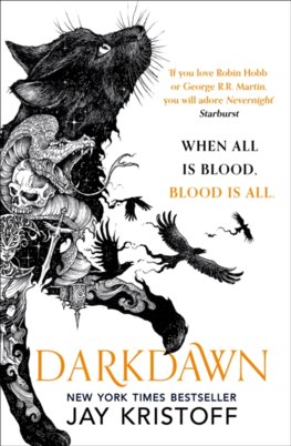 The Nevernight Chronicle (3)  Darkdawn