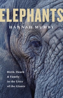 Elephants: Birth, Life And Death In The Last Days Of The Giants