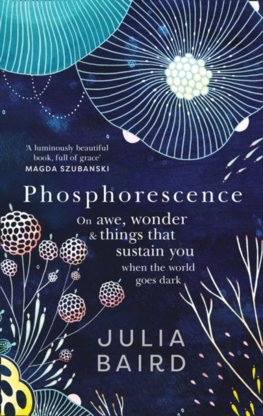 Phosphorescence