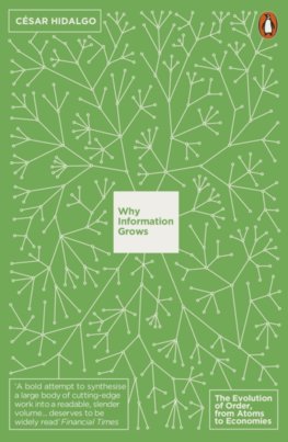 Why Information Grows