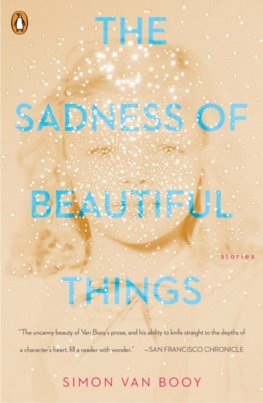 Sadness Of Beautiful Things