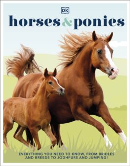 Horses and Ponies