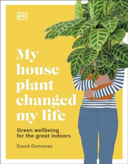 My House Plant Changed My Life