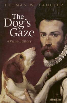 The Dogs Gaze