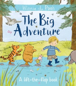 Winnie The Poohs Big Adventure Lift The Flap