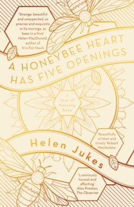 Honeybee Heart Has Five Openings