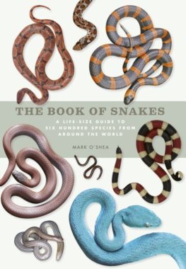 The Book of Snakes