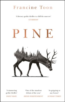 Pine