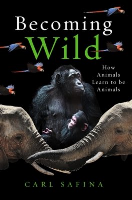 Becoming Wild : How Animals Learn to be Animals