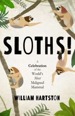 Sloths