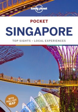 Pocket Singapore 6