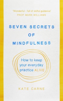 Mindfulness: The Secret of Sustaining Practice