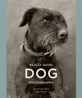 Really Good Dog Photography