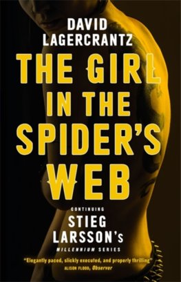 Girl in the Spiders Web