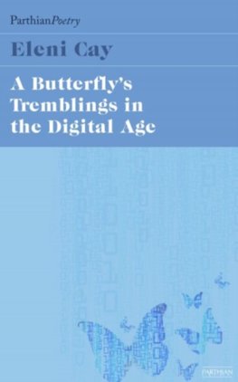 Butterflys Tremblings in the Digital Age