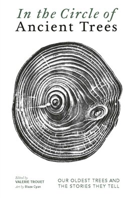 In The Circle of Ancient Trees In The Circle of Ancient Trees