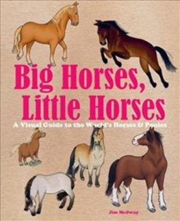 Big Horses, Little Horses