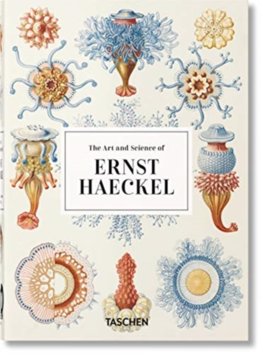 Haeckel