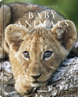 Michael Poliza, Baby Animals