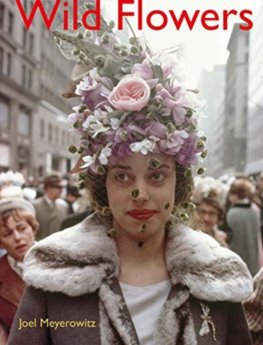 Joel Meyerowitz: Wild Flowers