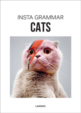 Insta Grammar: Cats