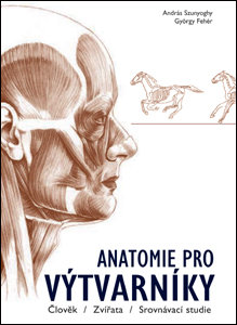 Anatomie pro výtvarníky