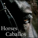 Horses Caballos