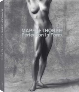 Perfection in Form Mapplethorpe
