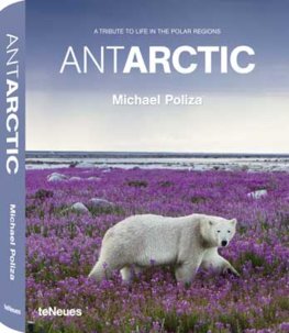 Antarctic Poliza