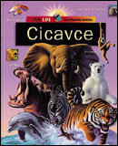 Cicavce