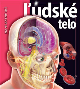 Ľudské telo