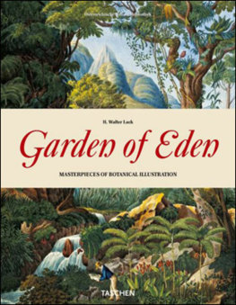 Garden Eden 25 ju