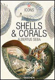 Seba, Shell and Corals