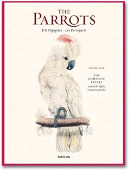 Parrots, Lear xl